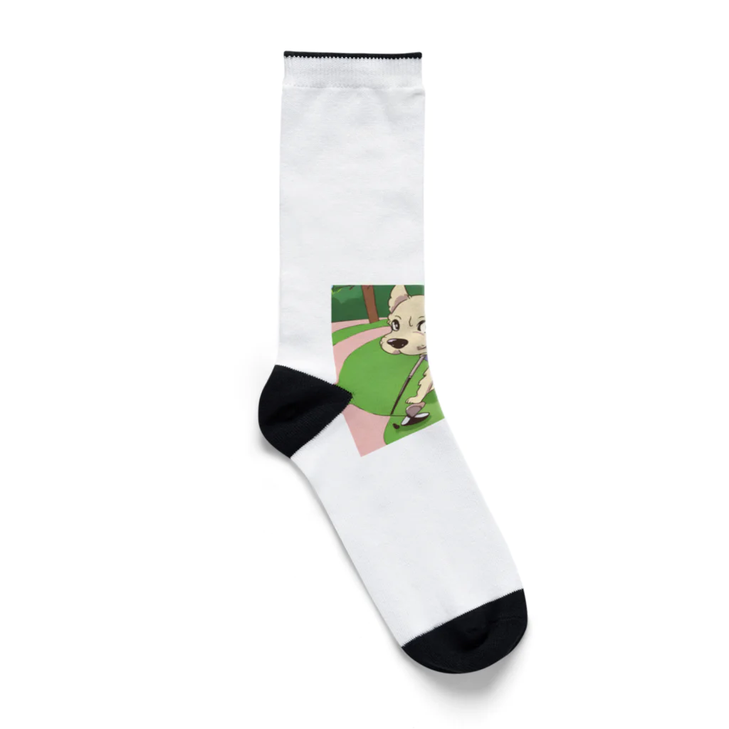 shibaショップのプロゴルファー犬 Socks