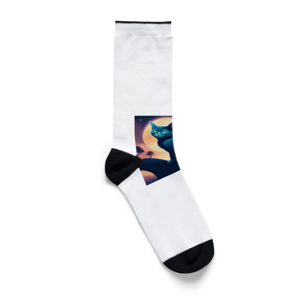 syouのファンタジーキャット Socks