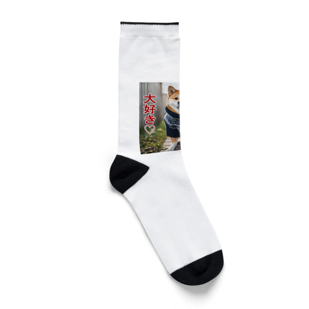 てくのちゃんのおさんぽ大好き♡柴犬 Socks