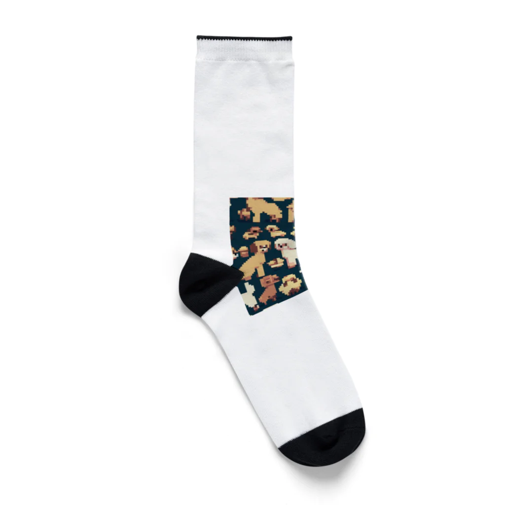 omamesan-1999のドッド絵　トイプードル Socks