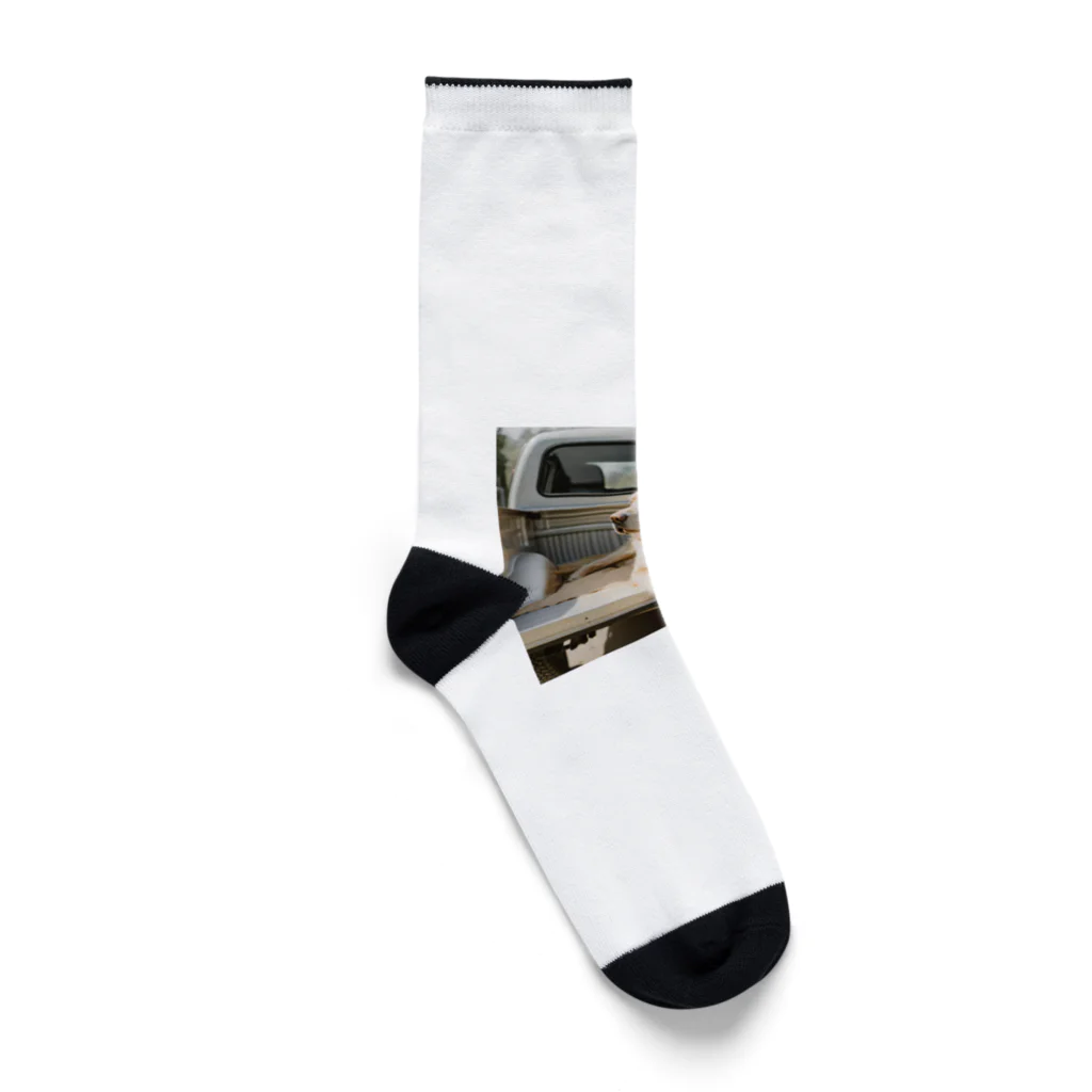 itokiwaレトリーバーのitokiwaレトリーバー Socks