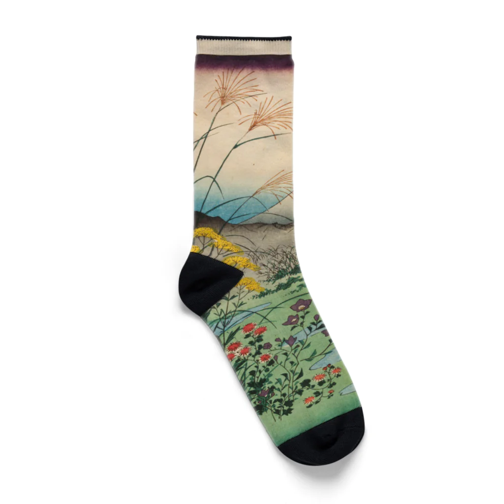 浮世絵屋の広重「冨二三十六景㉛　甲斐大月の原」歌川広重の浮世絵 Socks