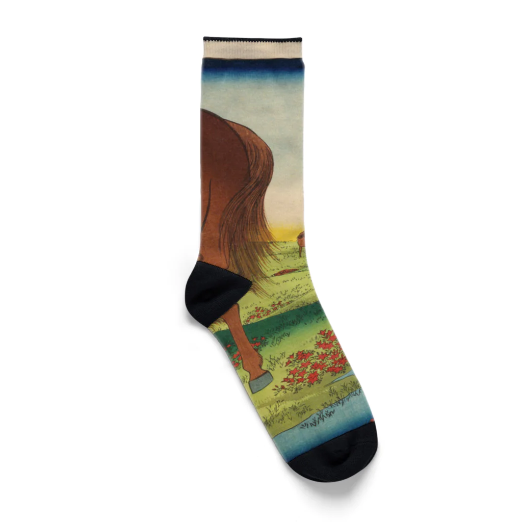 浮世絵屋の広重「冨二三十六景㉝　下総小金原」歌川広重の浮世絵 Socks