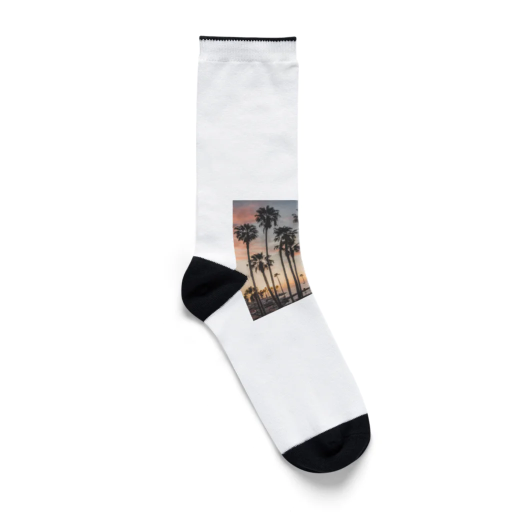 サーフサイドファッションのサンセットビーチパーム Socks