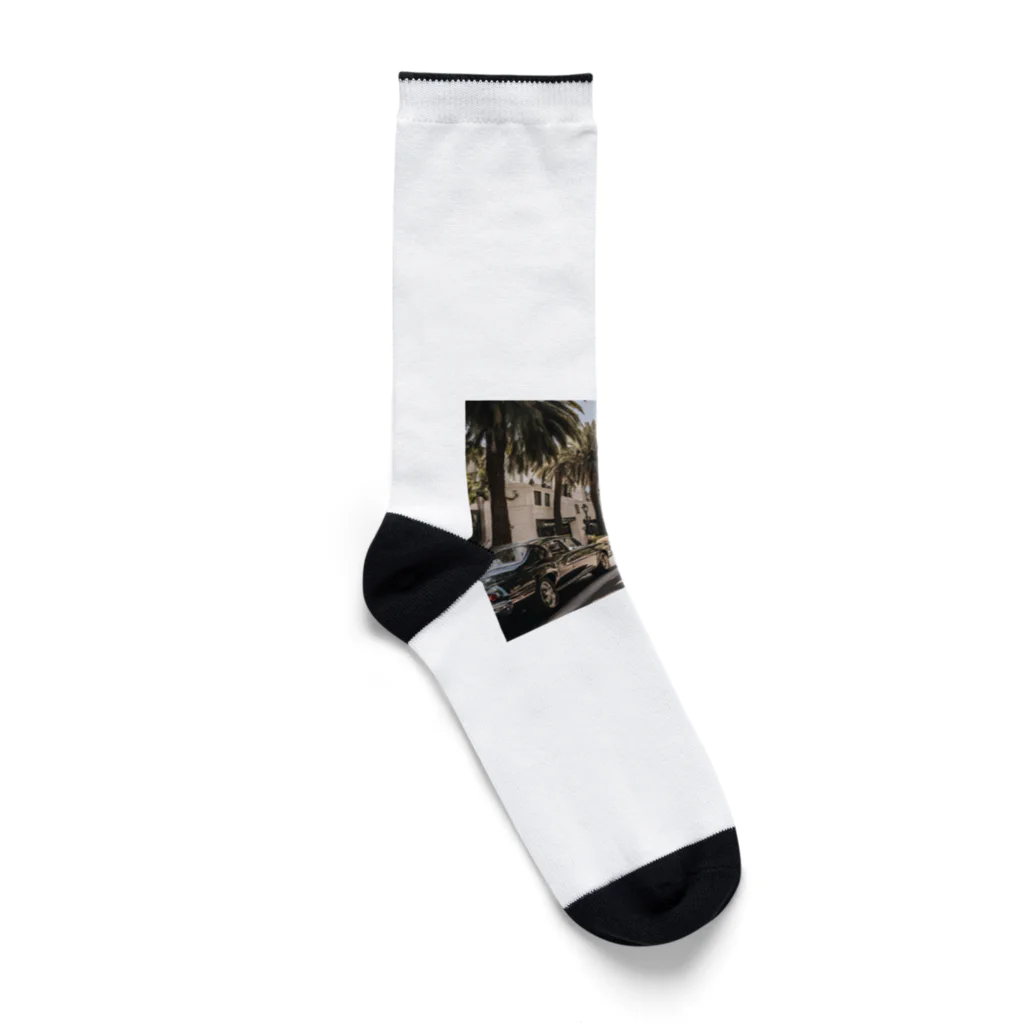 サーフサイドファッションのパームラインクルーズ Socks