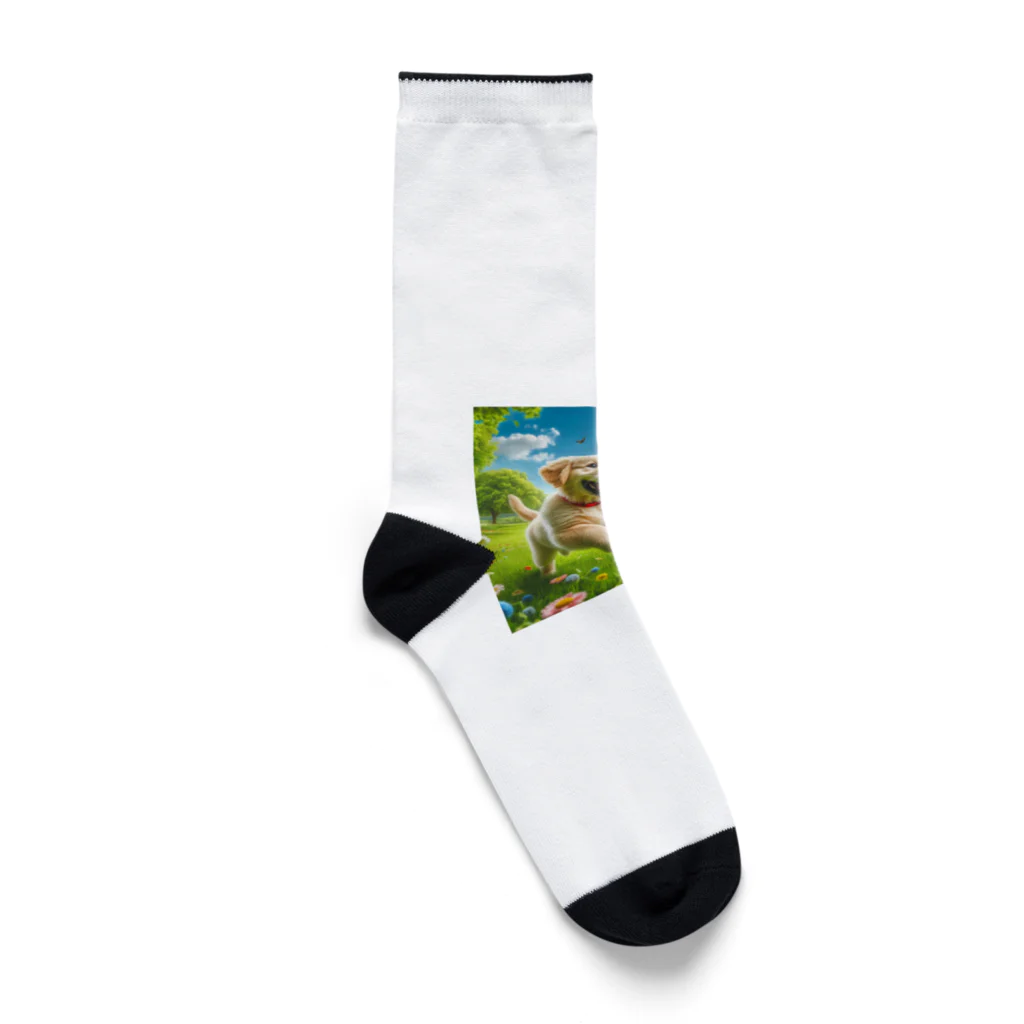 k.corporationの蝶々と遊ぶ子犬 Socks