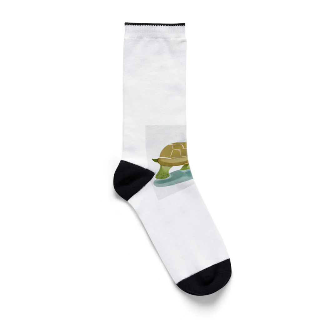 あにまるずSHOPの癒やしのカメのグッズ Socks