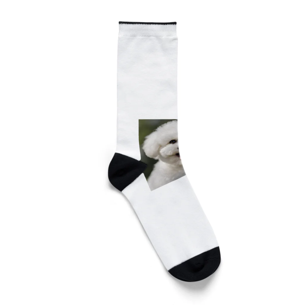 mofu-landの白もふ Socks