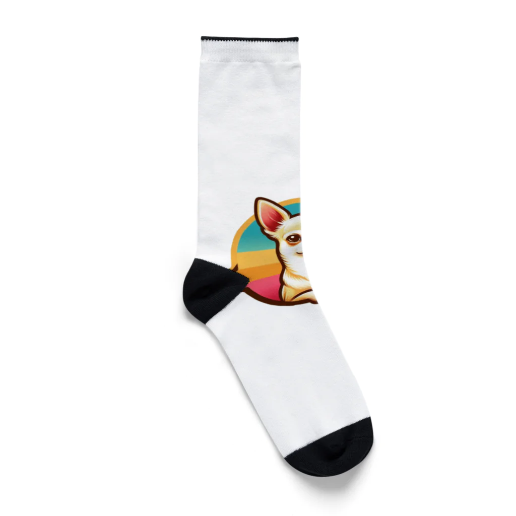 ちわわんのチワワン Socks