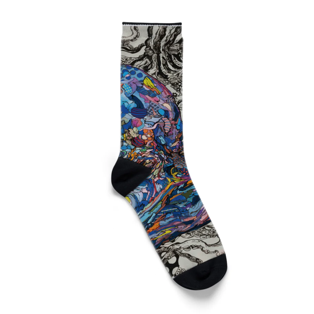 山口昇悟　Shogo Yamaguchiのブルーオクトパス Socks