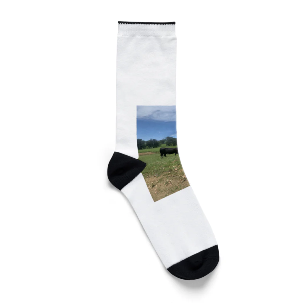 YASUE ABE JPのFarm Socks