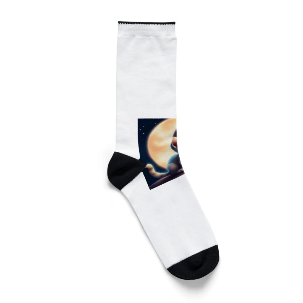 宇宙と猫の月を見る子猫 Socks