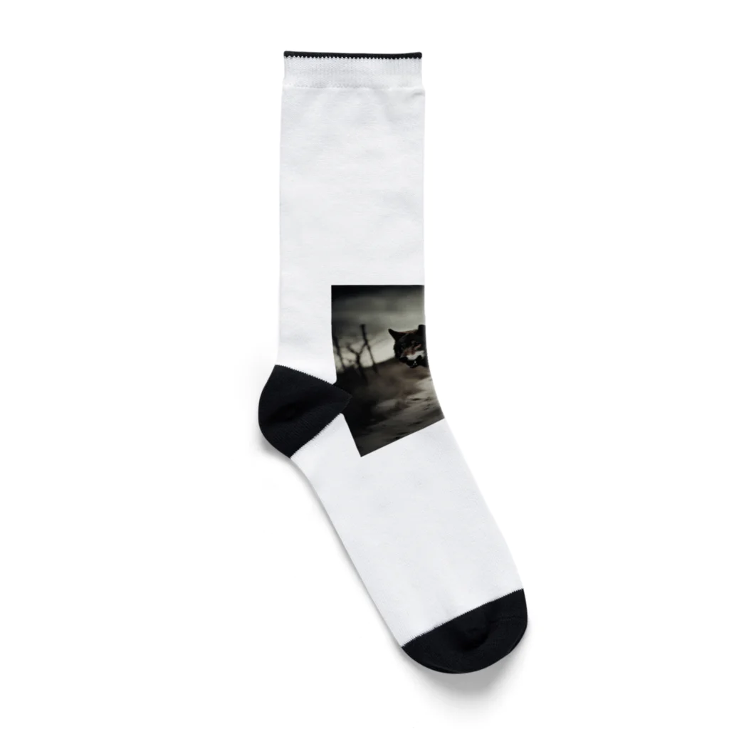 狼ショップの蒼穹の狼将 Socks