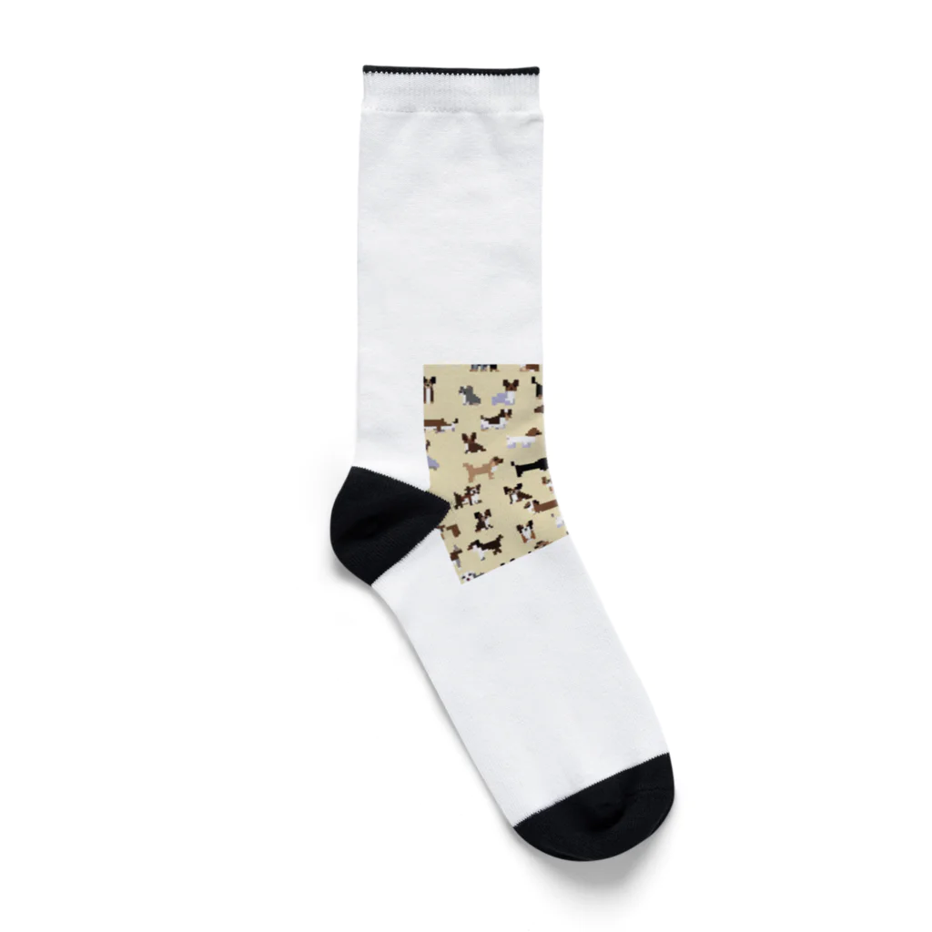 den_damのドットモンモンE -03 Socks