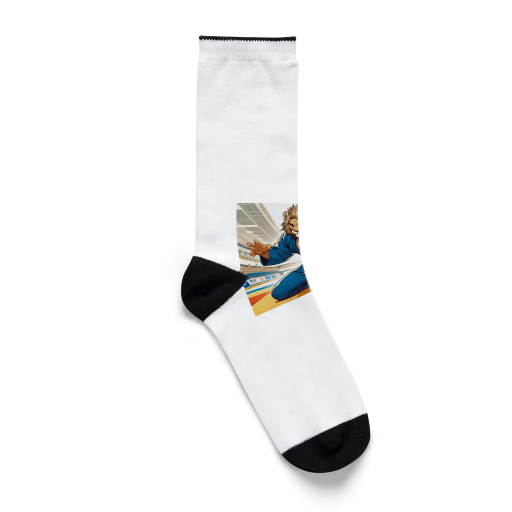 GANZのライオン柔道師範 Socks