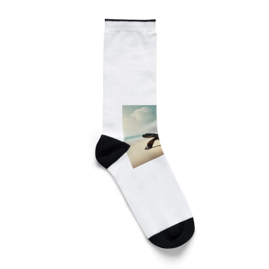 ZeroCreativeのかわいいペットのカメ Socks