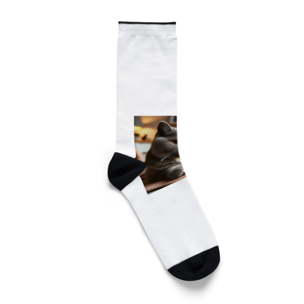 ブリティッシュショップのむちむちブリティッシュ Socks