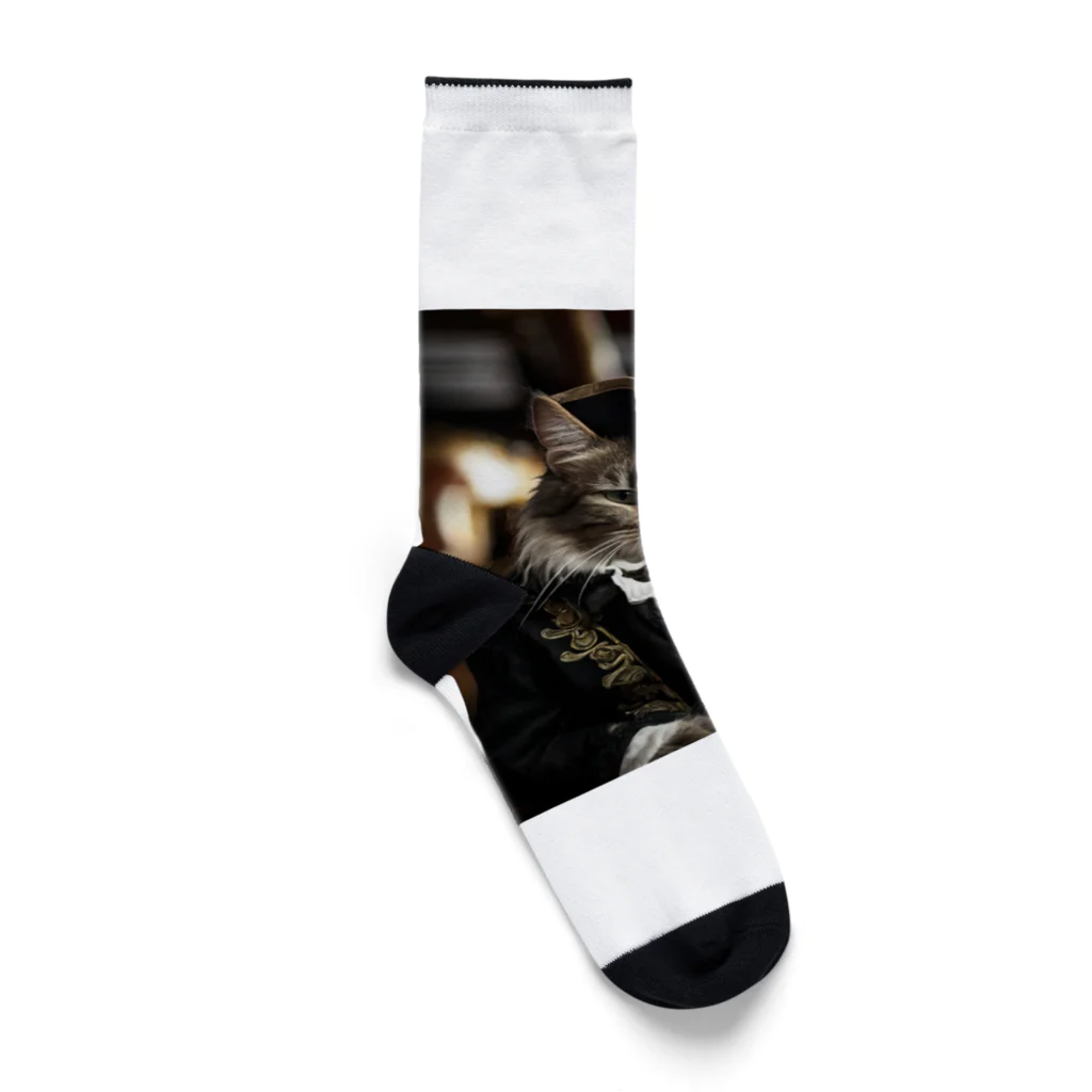 ZZRR12の海賊の支配者猫：海の覇者 Socks