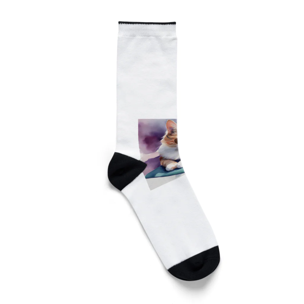 ryusky_333のサングラス姿の猫がヨガポーズでリラックス！ Socks