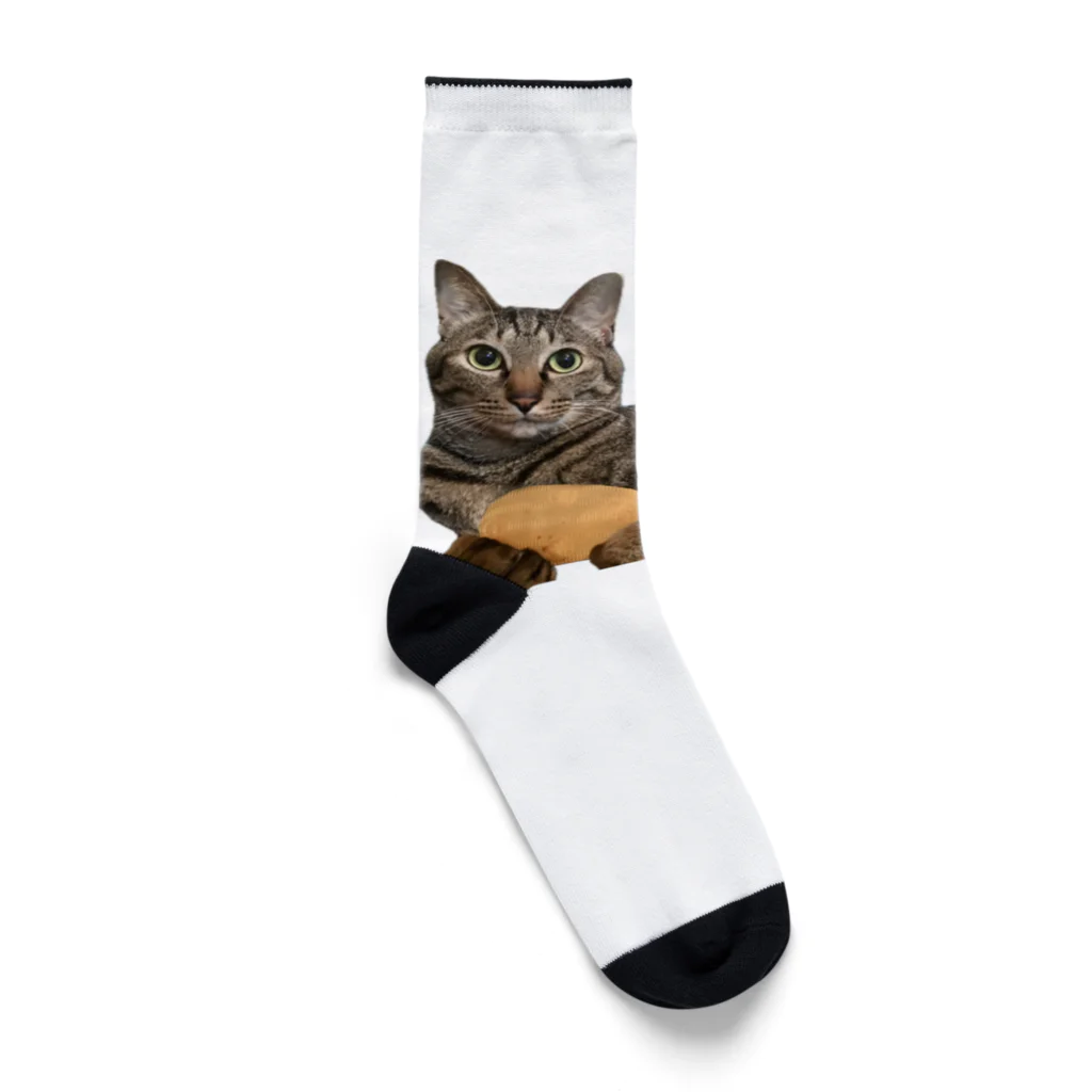 オレはニャン蔵の『猫に小判』オレはニャン蔵 Socks