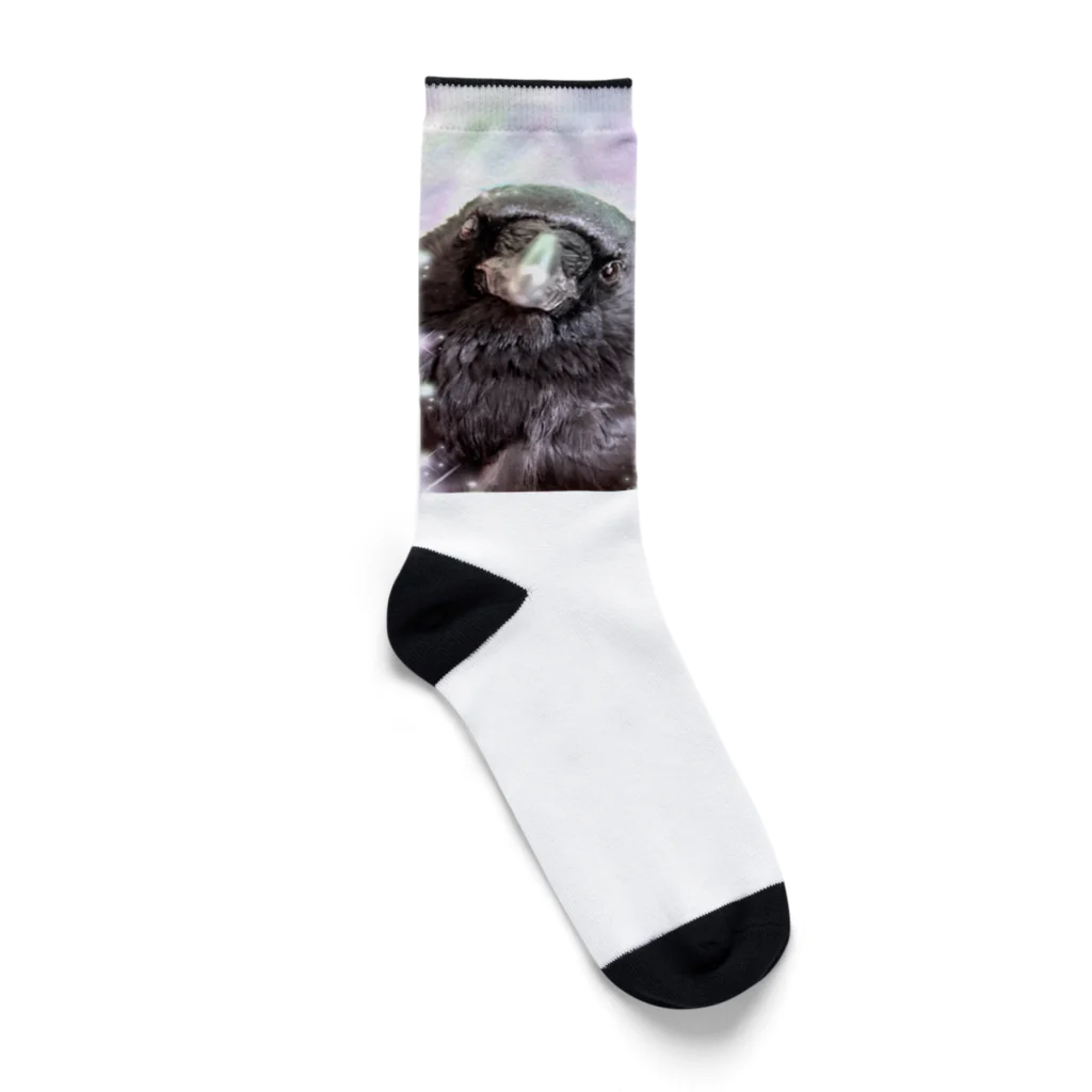 カラスのクッピのカラスのラビ Socks