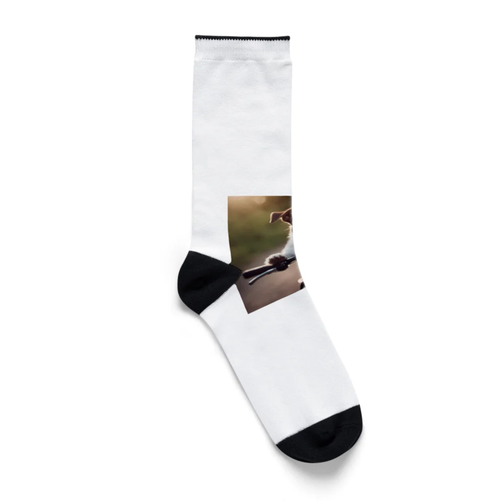 ISAACの自転車にのるジャックラッセル Socks