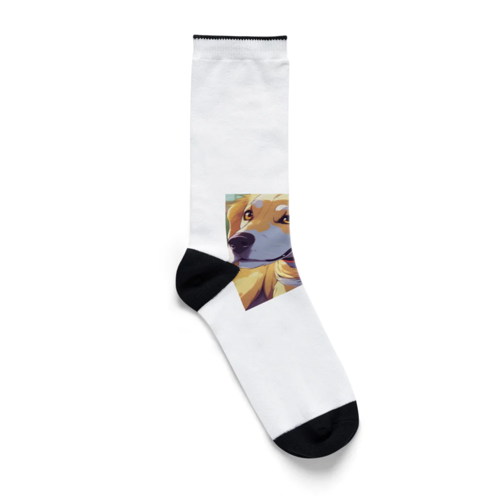 sakaki-tomoeの家の番犬 Socks