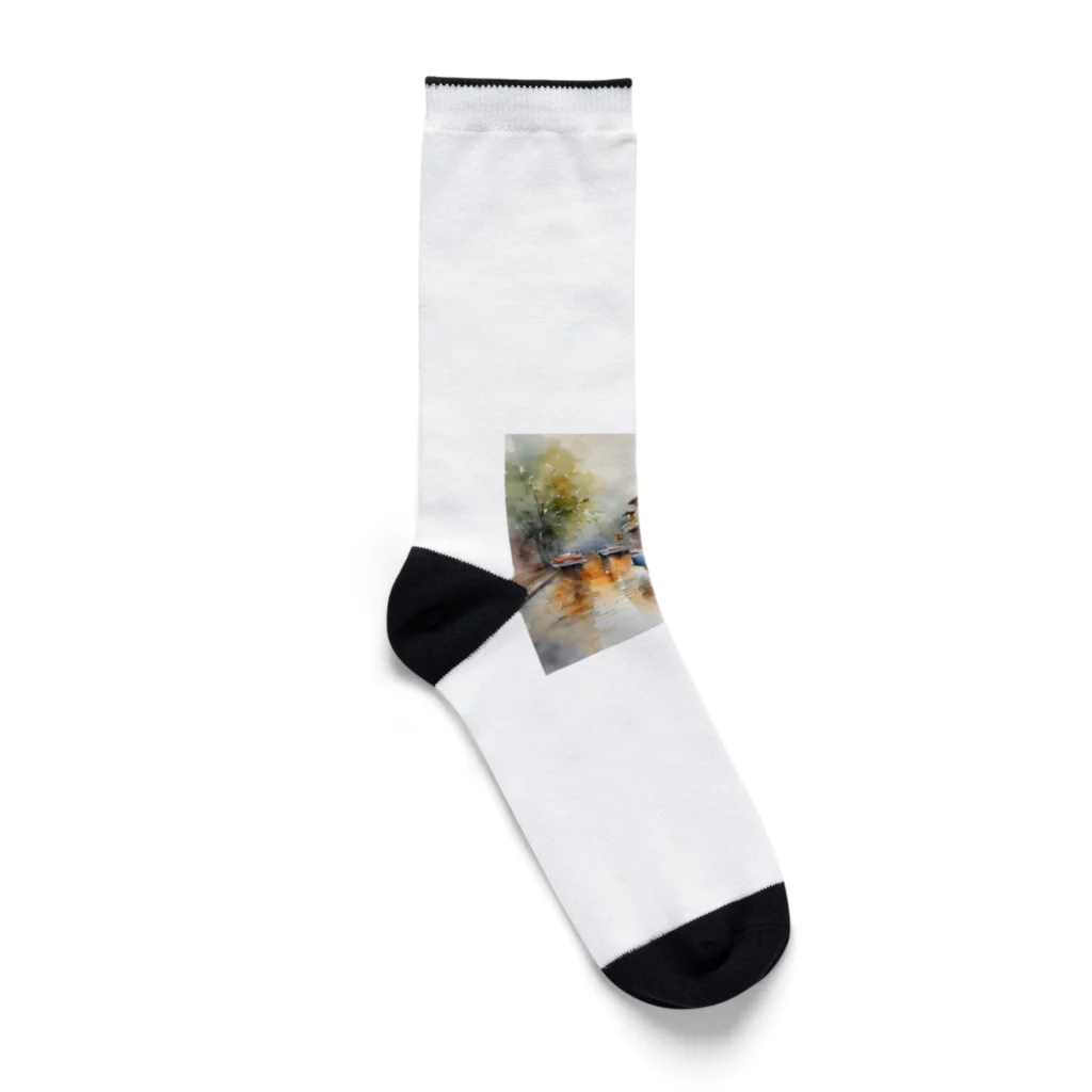 metametamonnのおしゃれな水彩画 Socks