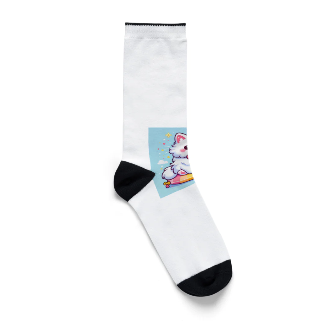 Tomo-Shopのゆるかわキャット Socks