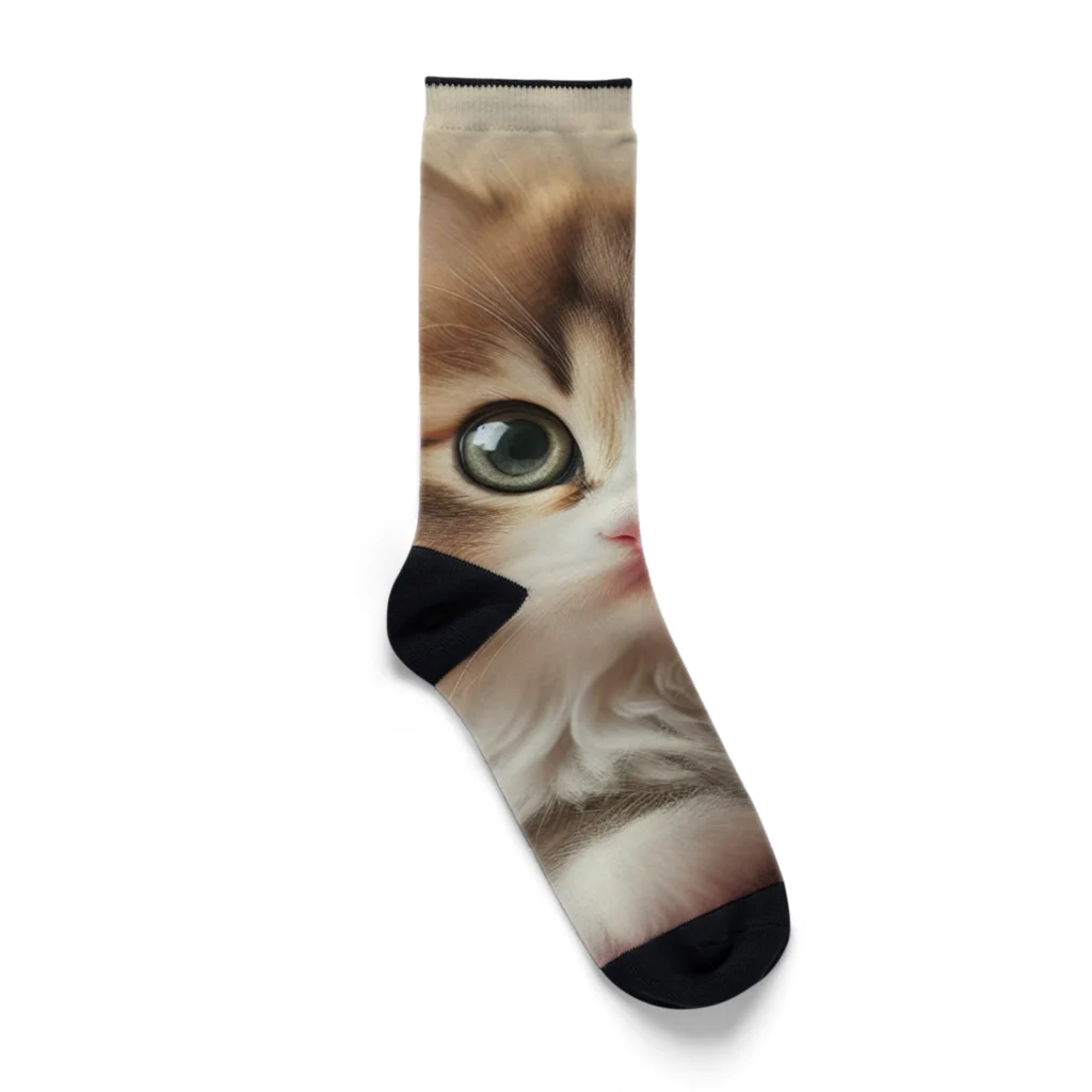 hakutaka289の可愛い猫（数量限定） Socks