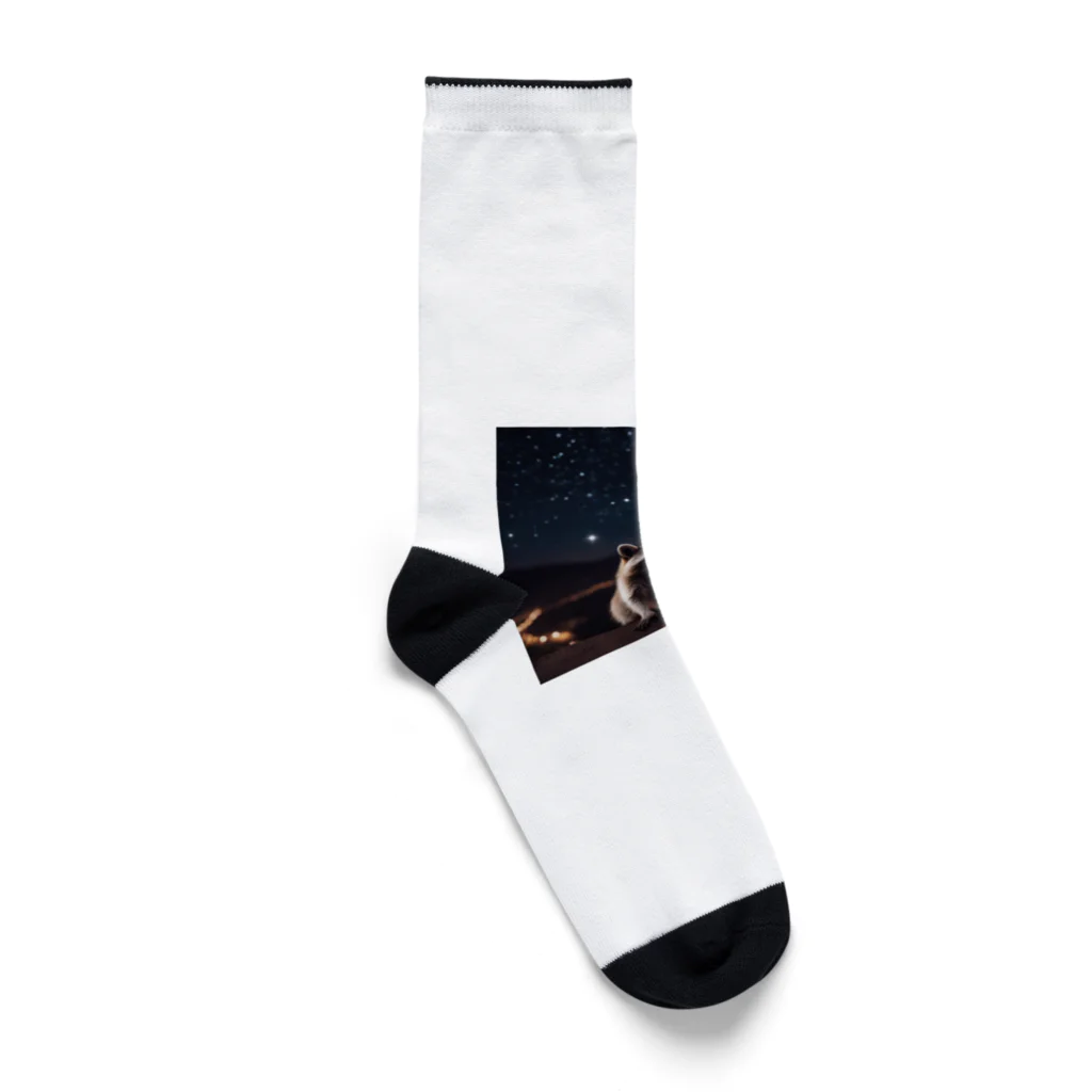 araiguma_shopの星を眺めているアライグマ Socks