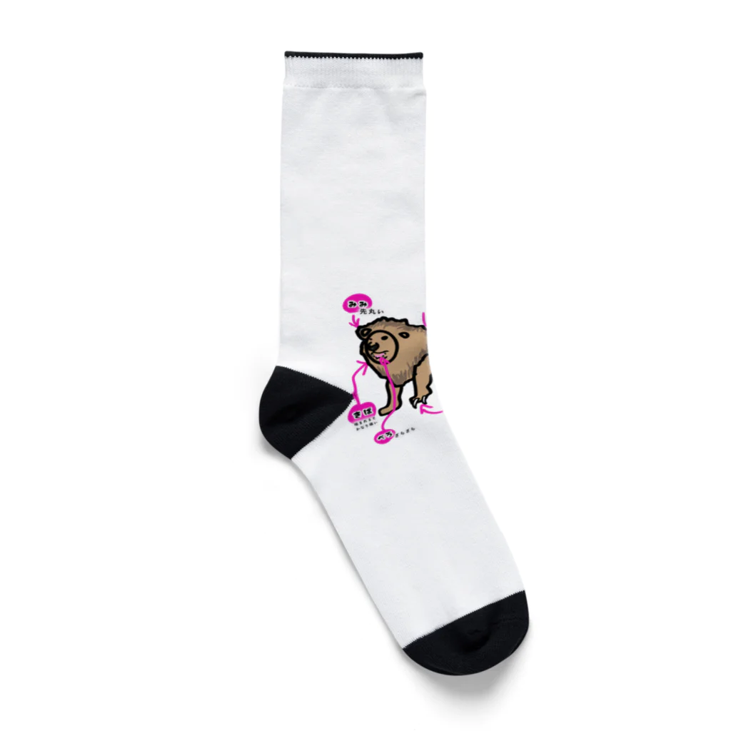 ko-jのライオン Socks