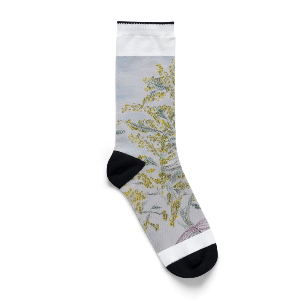 rn1の春のお花たち Socks