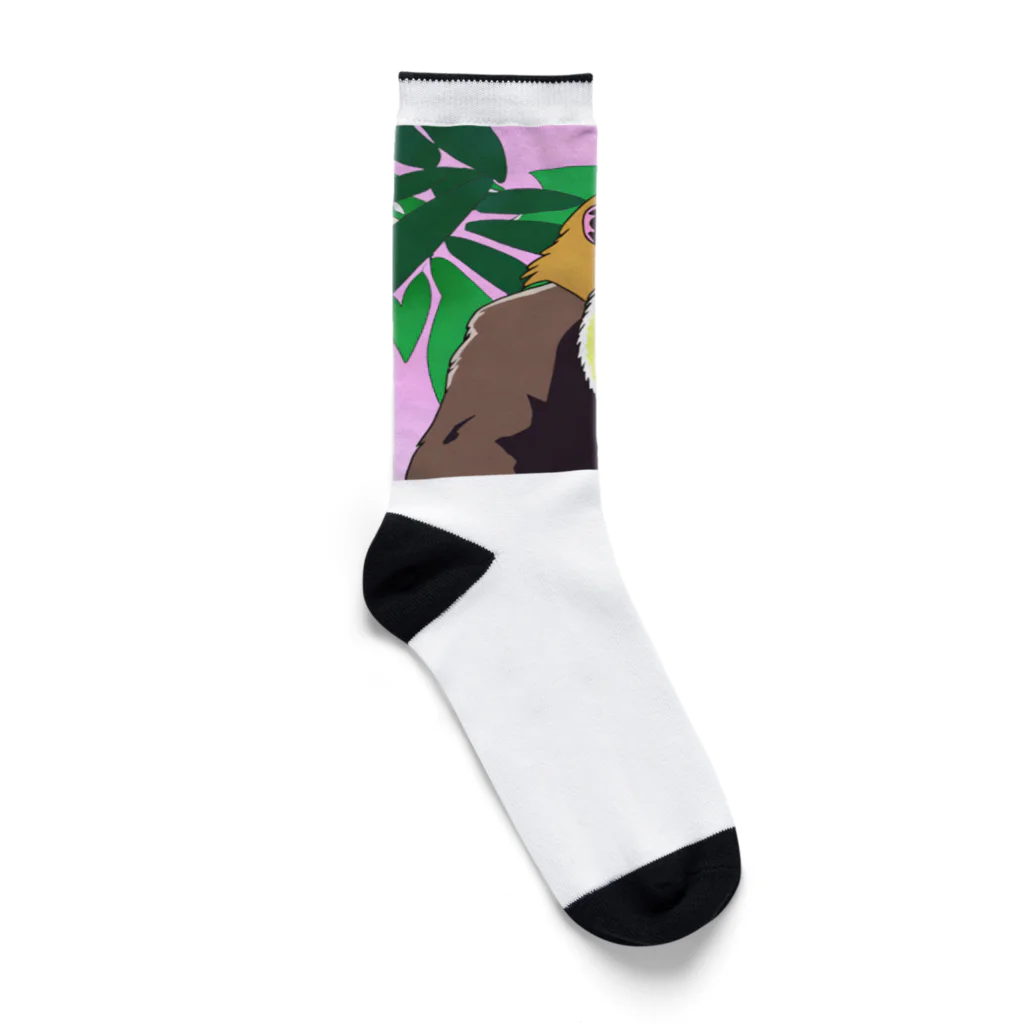 JM8の白髭さる Socks