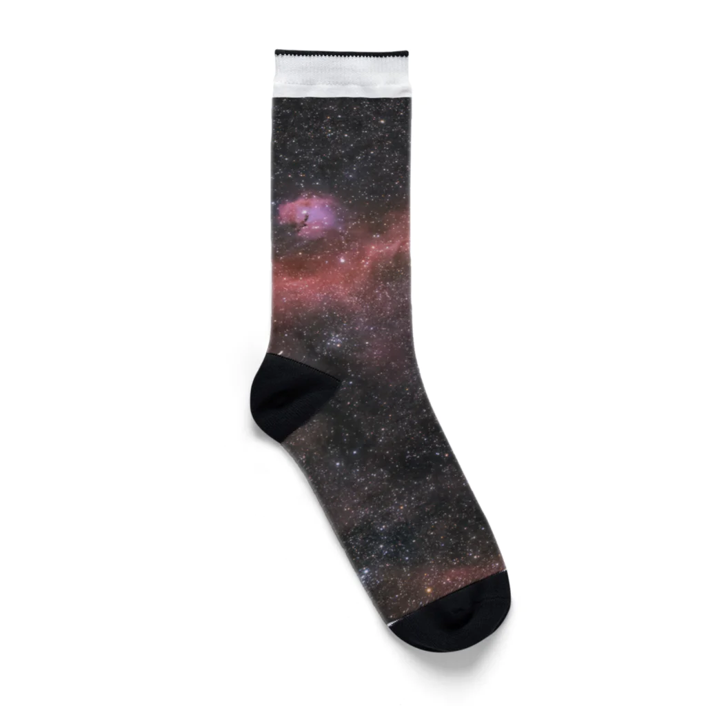 S204_Nanaのカモメ星雲 Socks