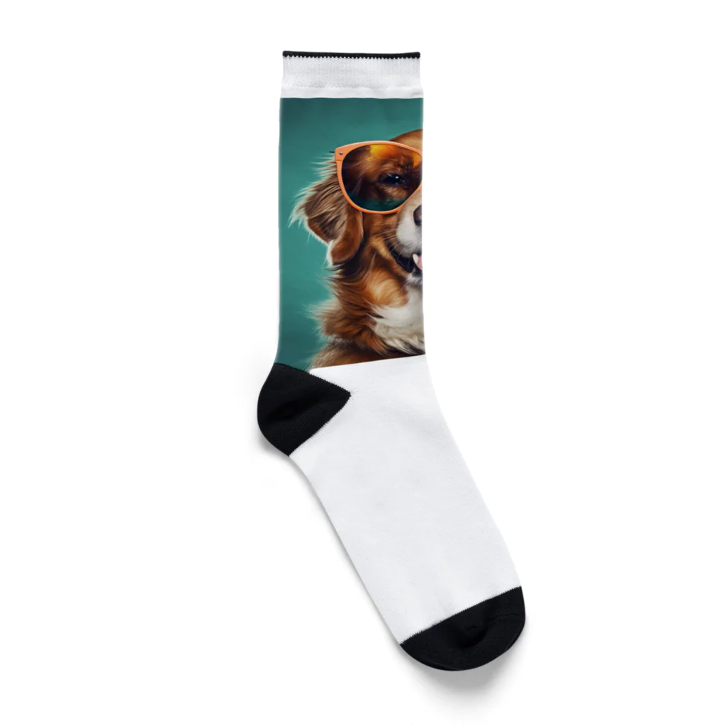 AQUAMETAVERSEのサングラスをかけた、かわいい犬 Marsa 106 Socks