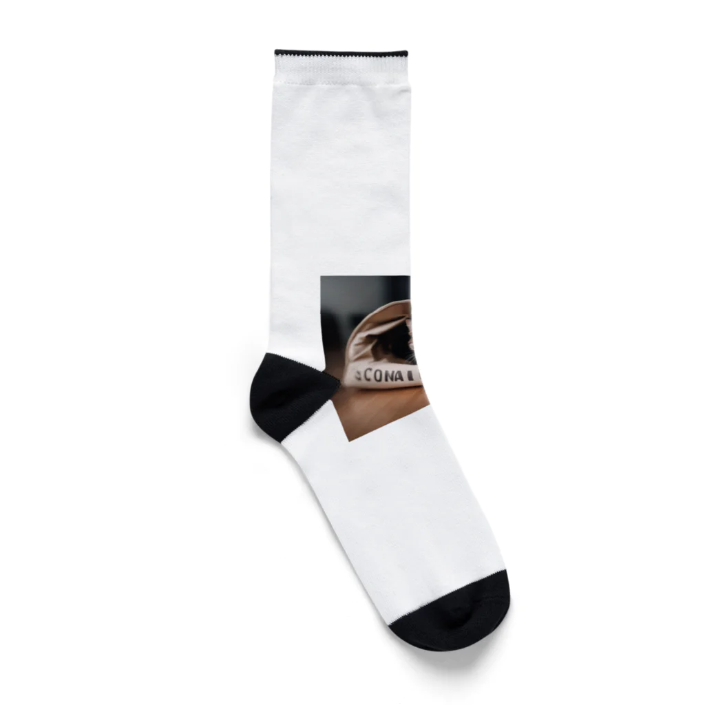 LuckyRiverShineの袋に入っている猫 Socks