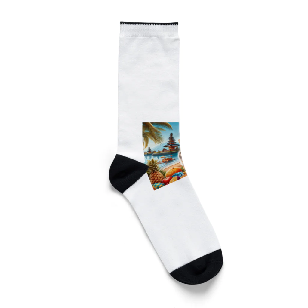 jkmurataの旅大好きなカッコいいねこがバリ島でのんびり Socks