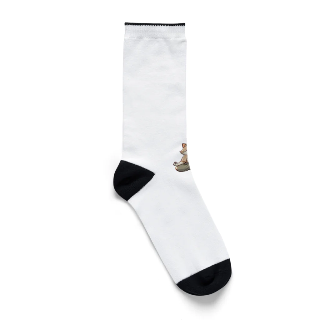 きなこのショップのさとり世代のネコ Socks