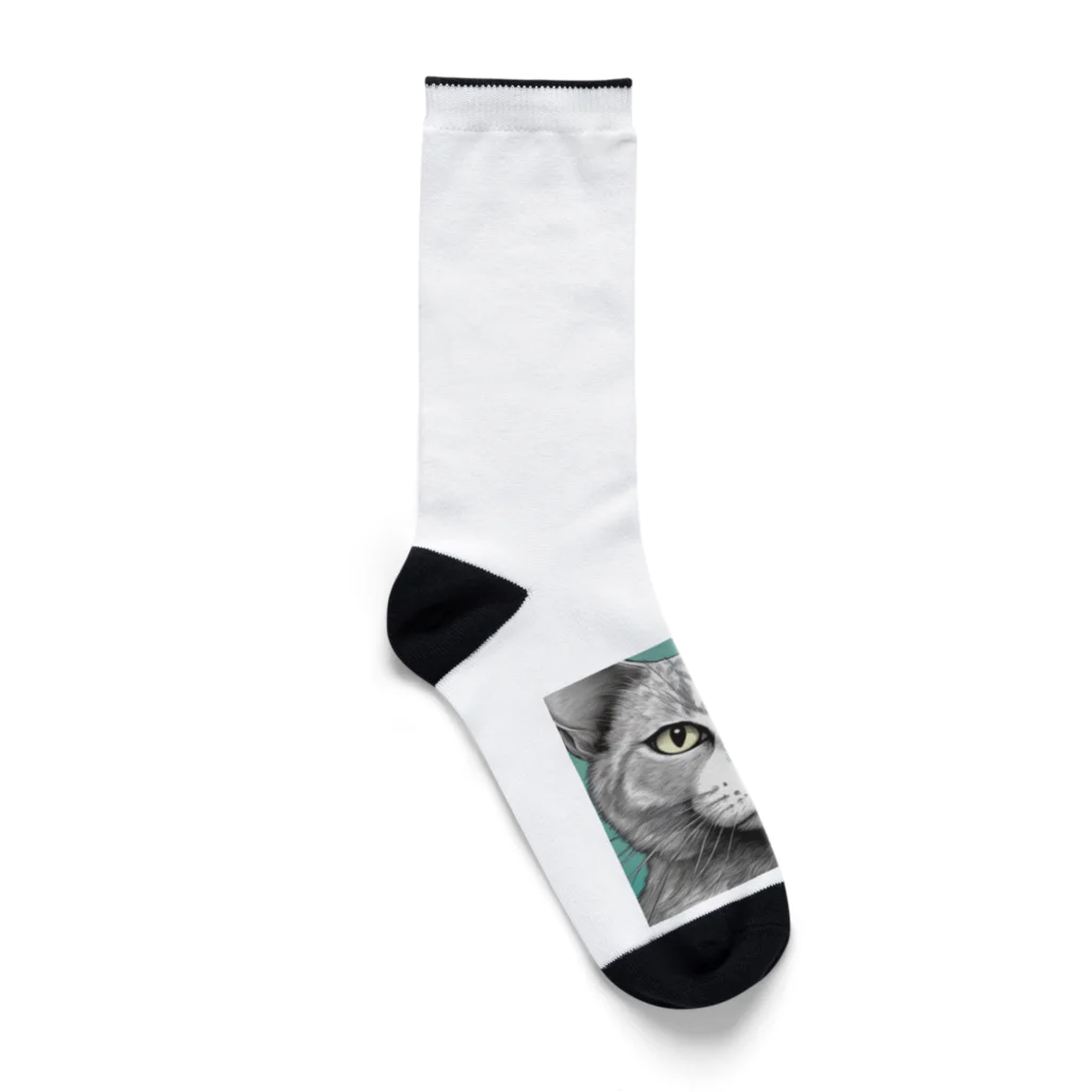 にゃんこーねこのドアップ猫 Socks