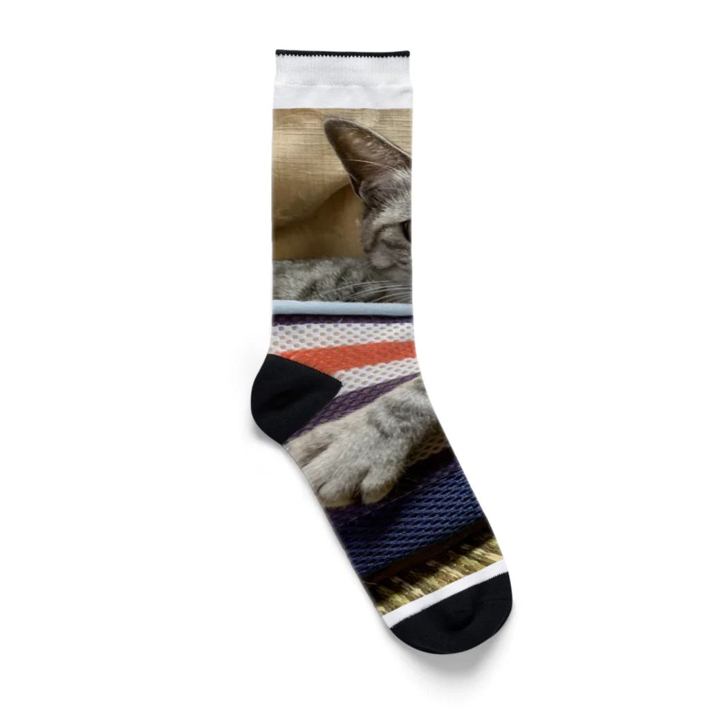 fashion-sametarouのワイルドだろ〜 Socks