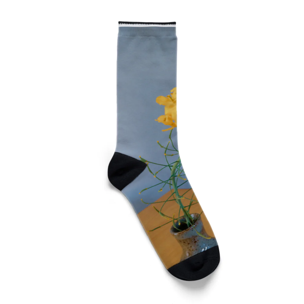 イエローローズのほっくり菜の花 Socks