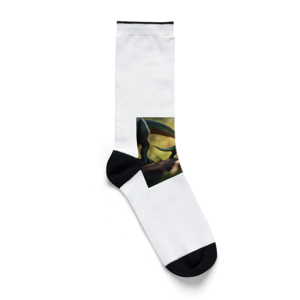 KOKAKORAのアパトサウルス Socks