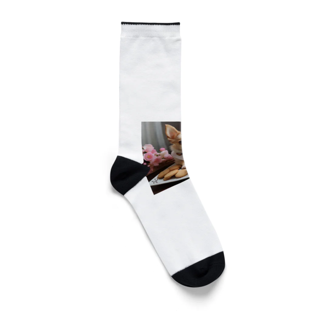 チワワ愛好家ショップのチワワのキラキラ日記📔🐾 - 家族と紡ぐ特別な日々 Socks