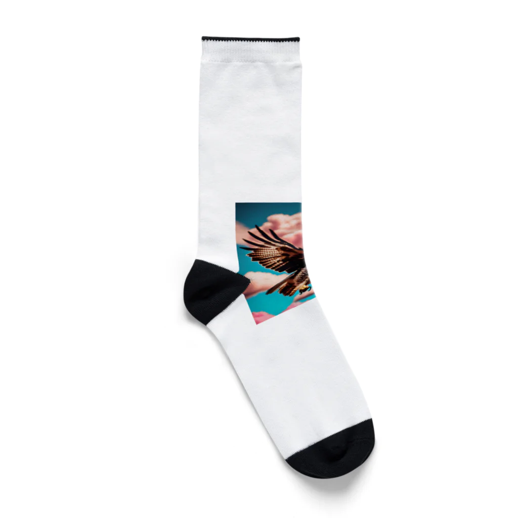 ★動物ショップ・kou2020★の鷹4 Socks