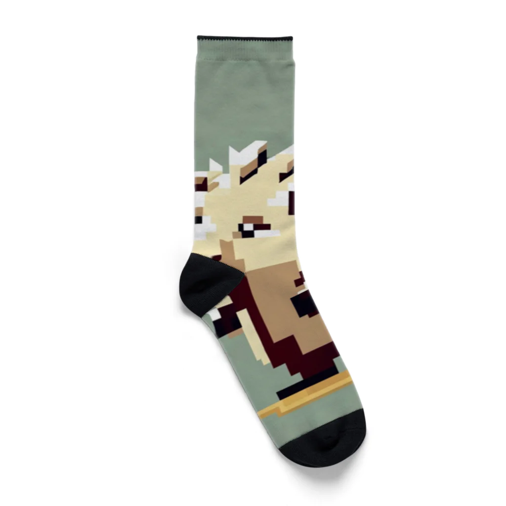 HARINOMORIのハリネズミ４ Socks