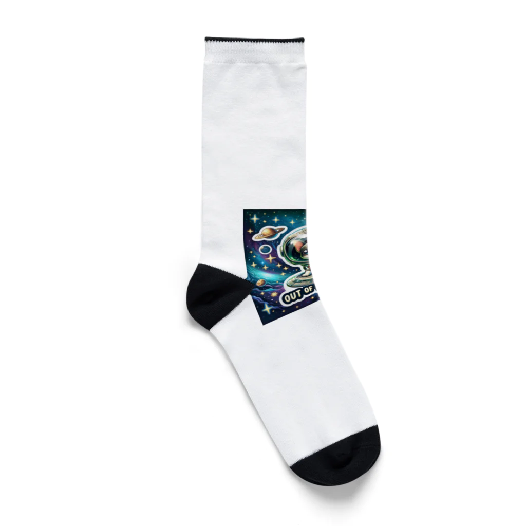 keikei5の宇宙の果てへ！超キュートなチワワ Socks