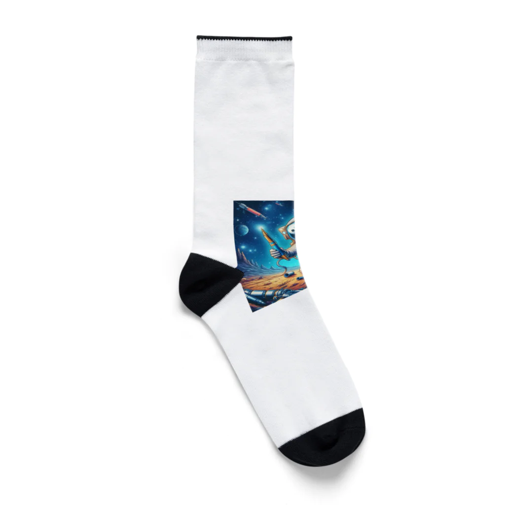 メアリーの未知の宇宙を冒険する魅惑的なペン Socks