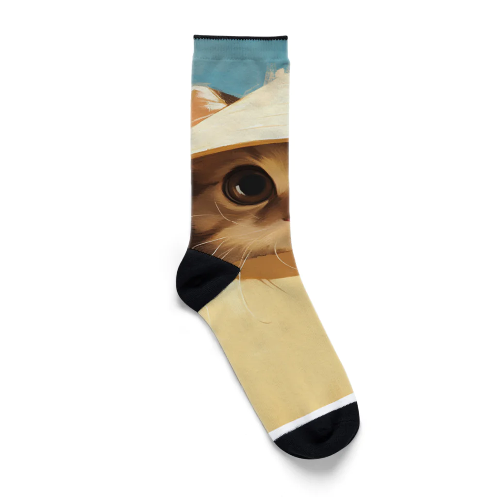 AQUAMETAVERSEの箱からのぞいている子猫　ラフルール　1859 Socks