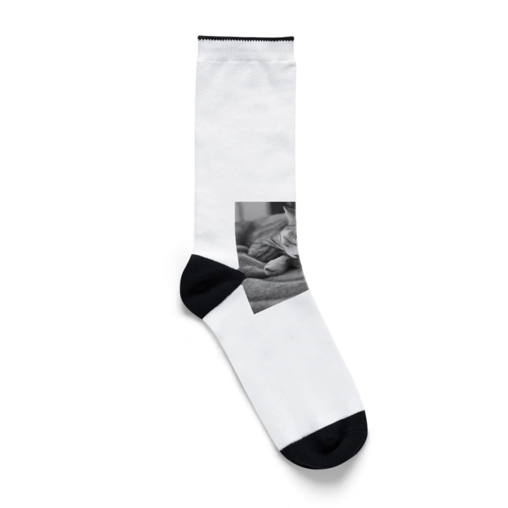 chocomegane0228のモノクロ猫 Socks